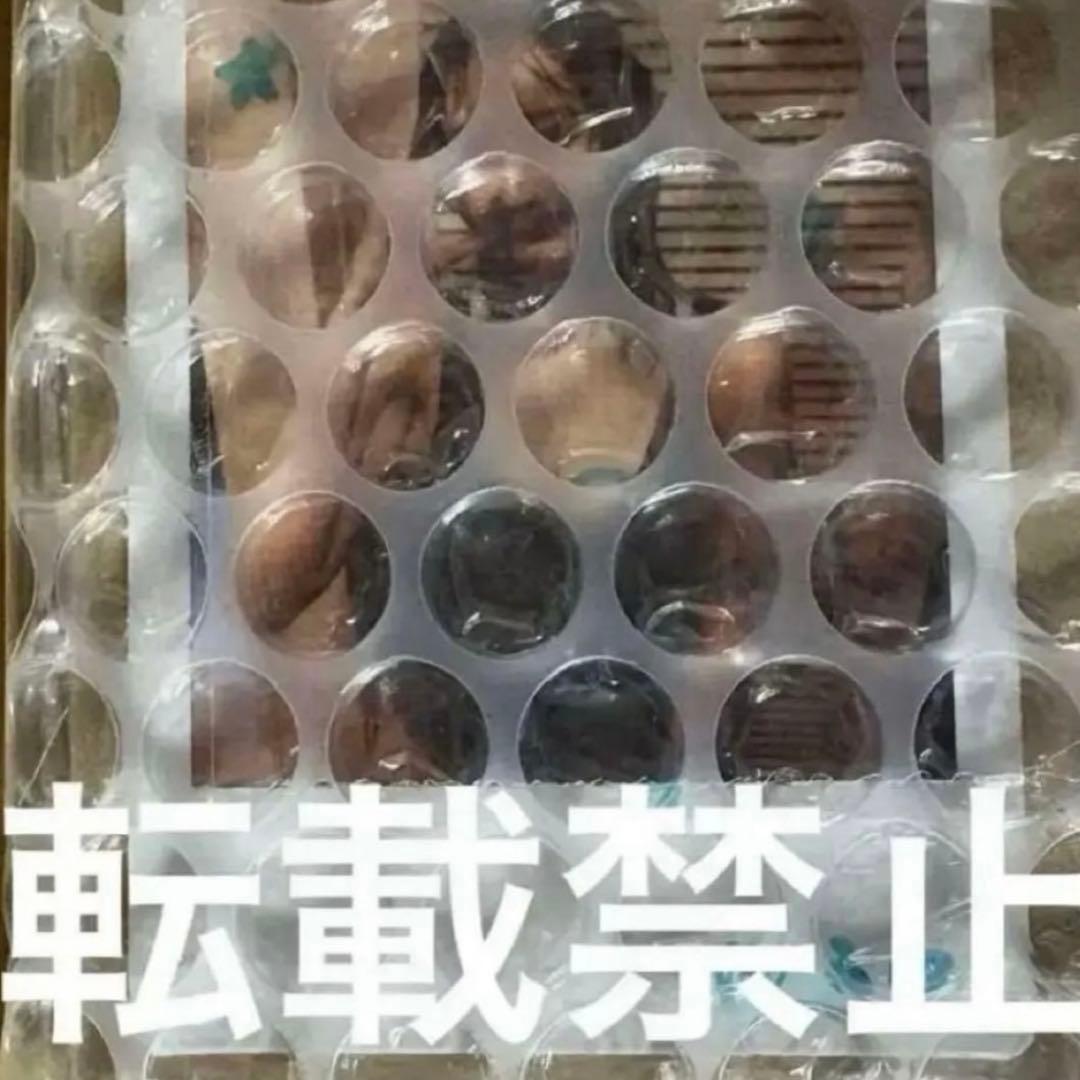 菜那セシル 直筆サイン入りチェキ 当選品 - メルカリ