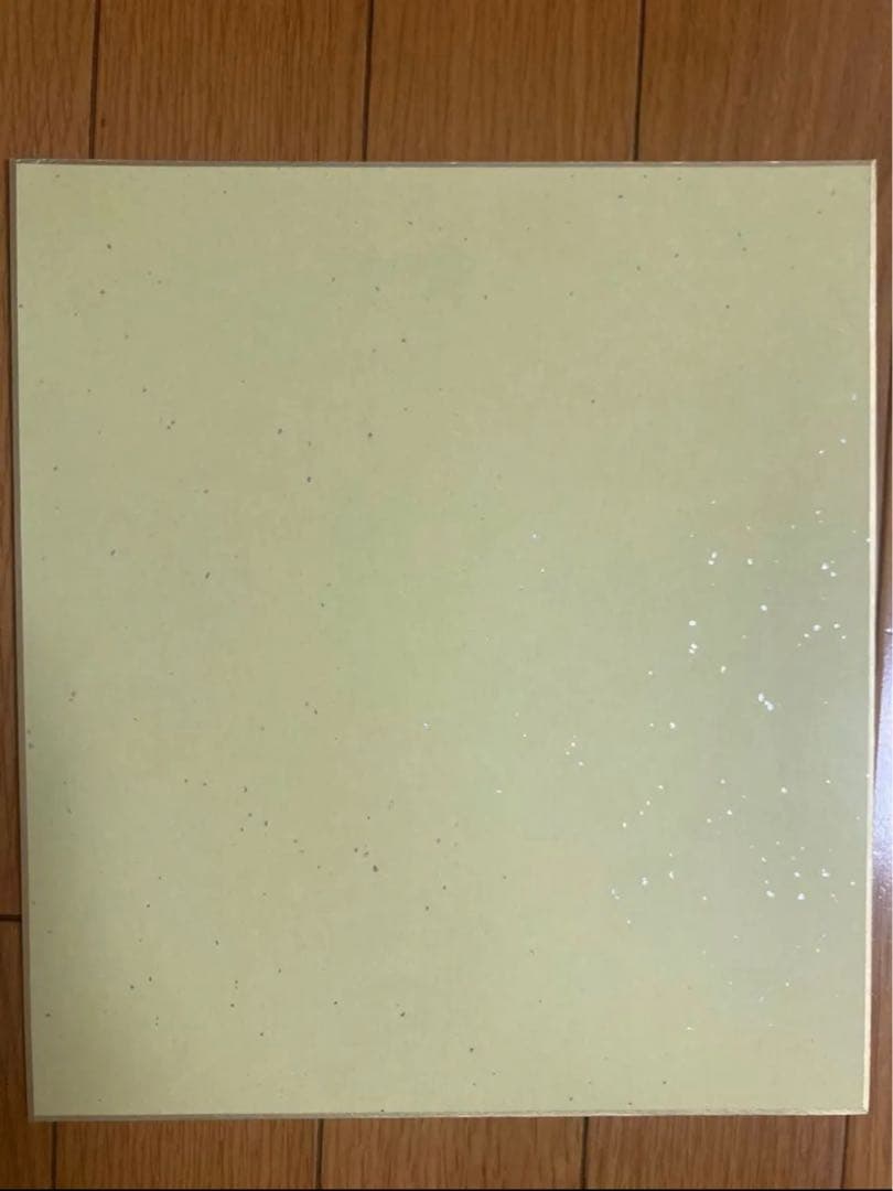 【激レア】ドラゴンボールＺ　人造人間17号&18号　色紙　鳥山明