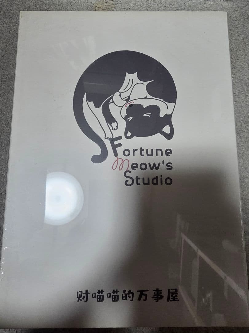 未開封】MG 1/100 ガンダムデュナメス 改造用ガレージキット