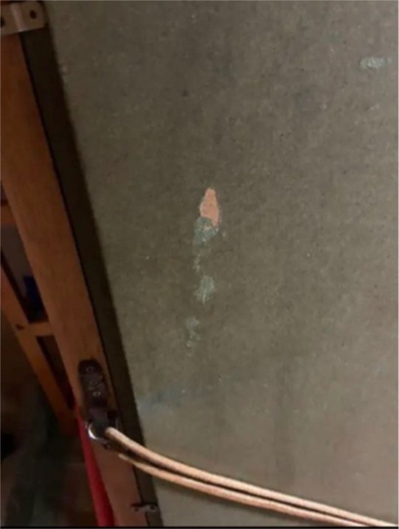 特大サイズ　牡丹の水墨画