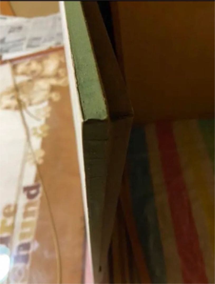 特大サイズ　牡丹の水墨画