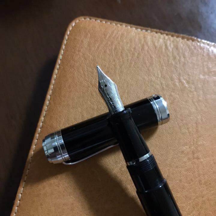 万年筆 アウロラ タレンタム Fニブ