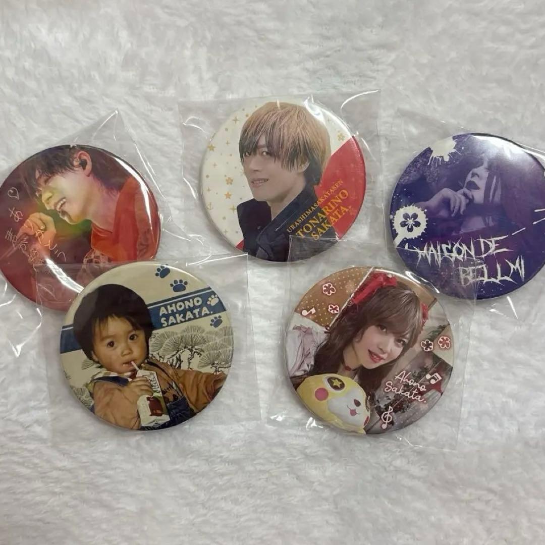 浦島坂田船 となりの坂田 あほの坂田 実写 缶バッジ まとめ売り - メルカリ