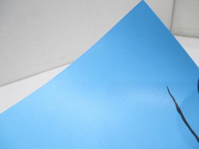 Steel Ball Run ポスター ジョジョの奇妙な冒険 ポスター