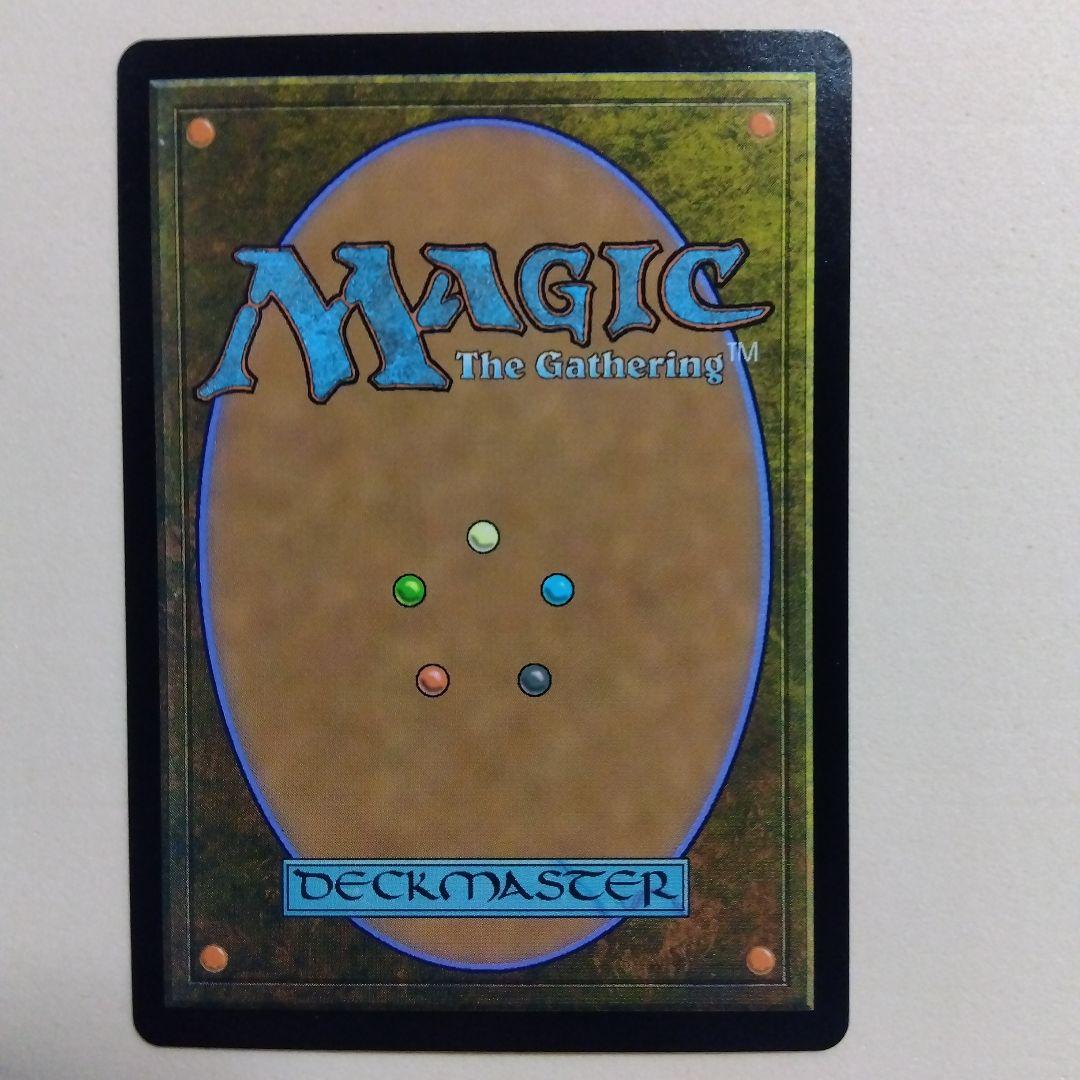 MTG 森の知恵 Foil DMR 旧枠仕様 英語