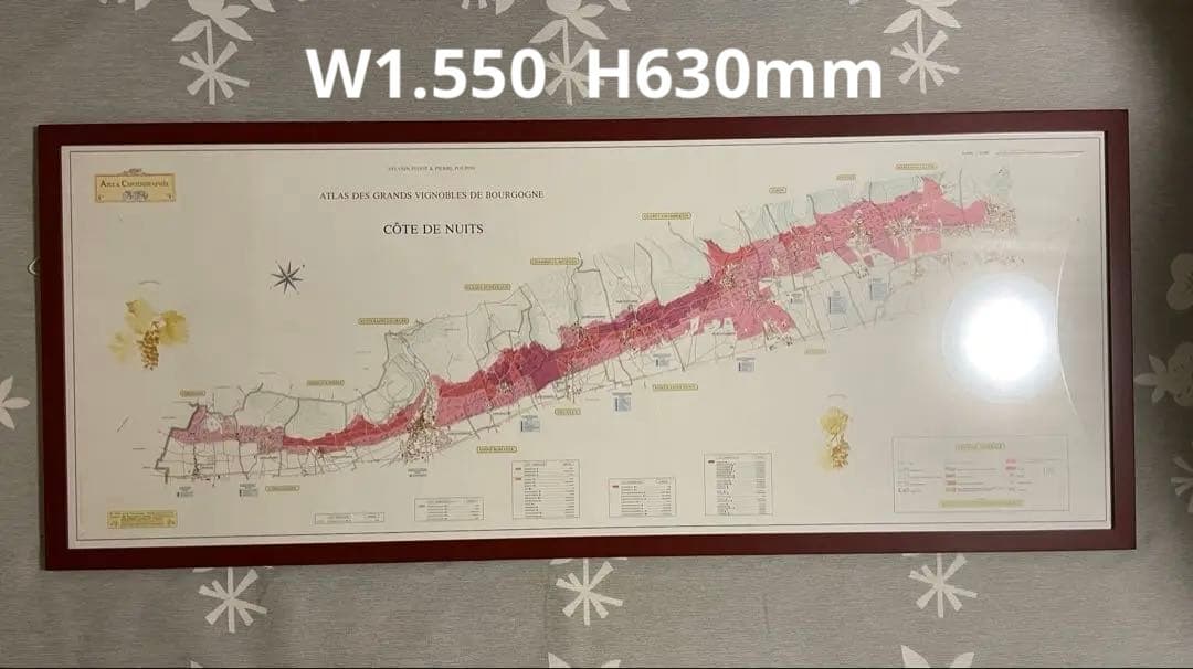 大型額装美品】ブルゴーニュ（ワイン）南北の詳細な葡萄畑の地図