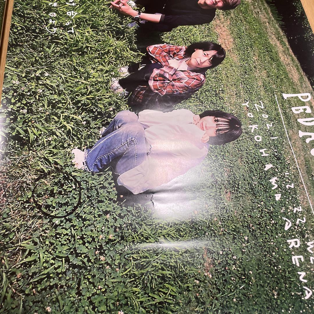 PEDROアユニ・D サイン入りポスター】さすらひ - メルカリ