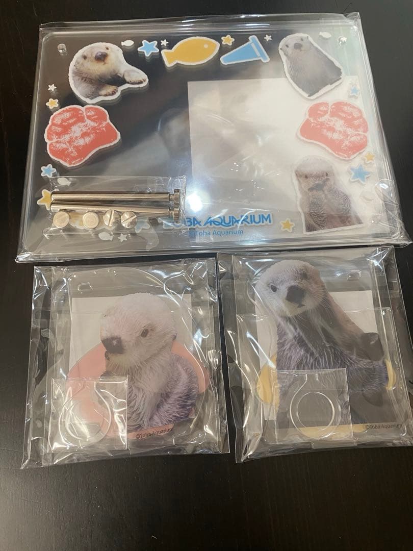 カプくじ×鳥羽水族館　ラッコ　キラメイ　 ラッコのメイちゃんくじリターンズ！ 鳥羽水族館』のアイドル！ 「ラッコのメイちゃん」のお誕生日を記念