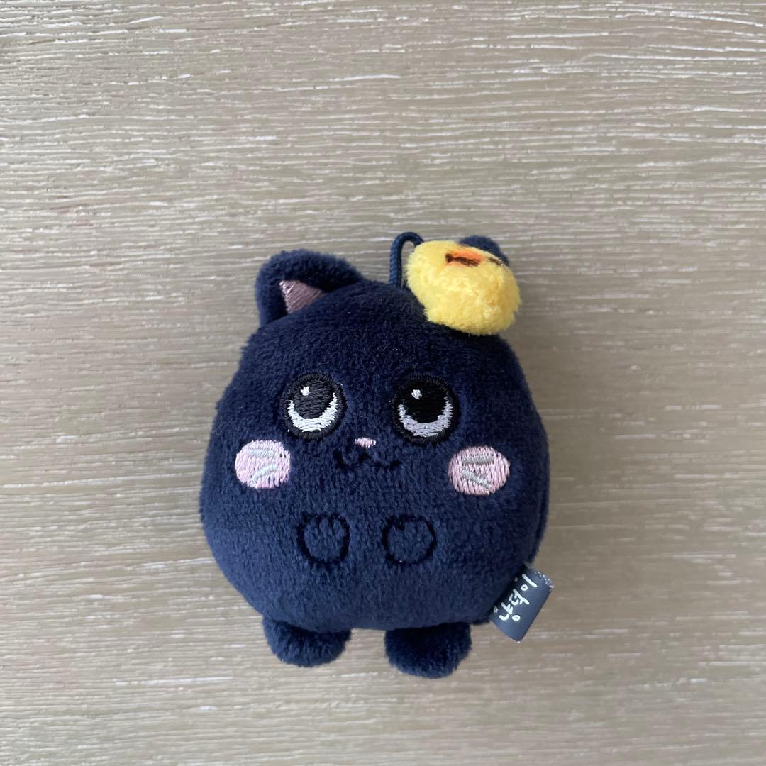 RIIZE ウォンビン　ペンライトカバー　キーホルダー　WONBIN シュシュ