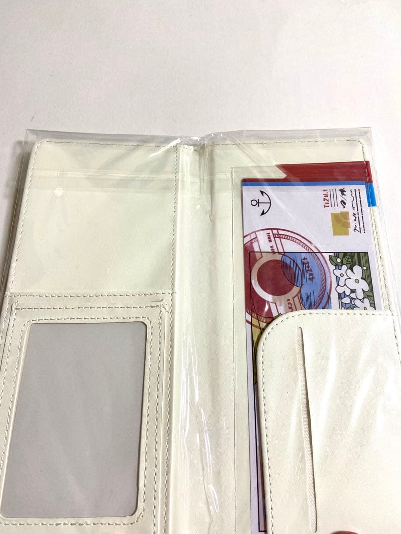 ポケモンPSYCHO CYBER チケットホルダー