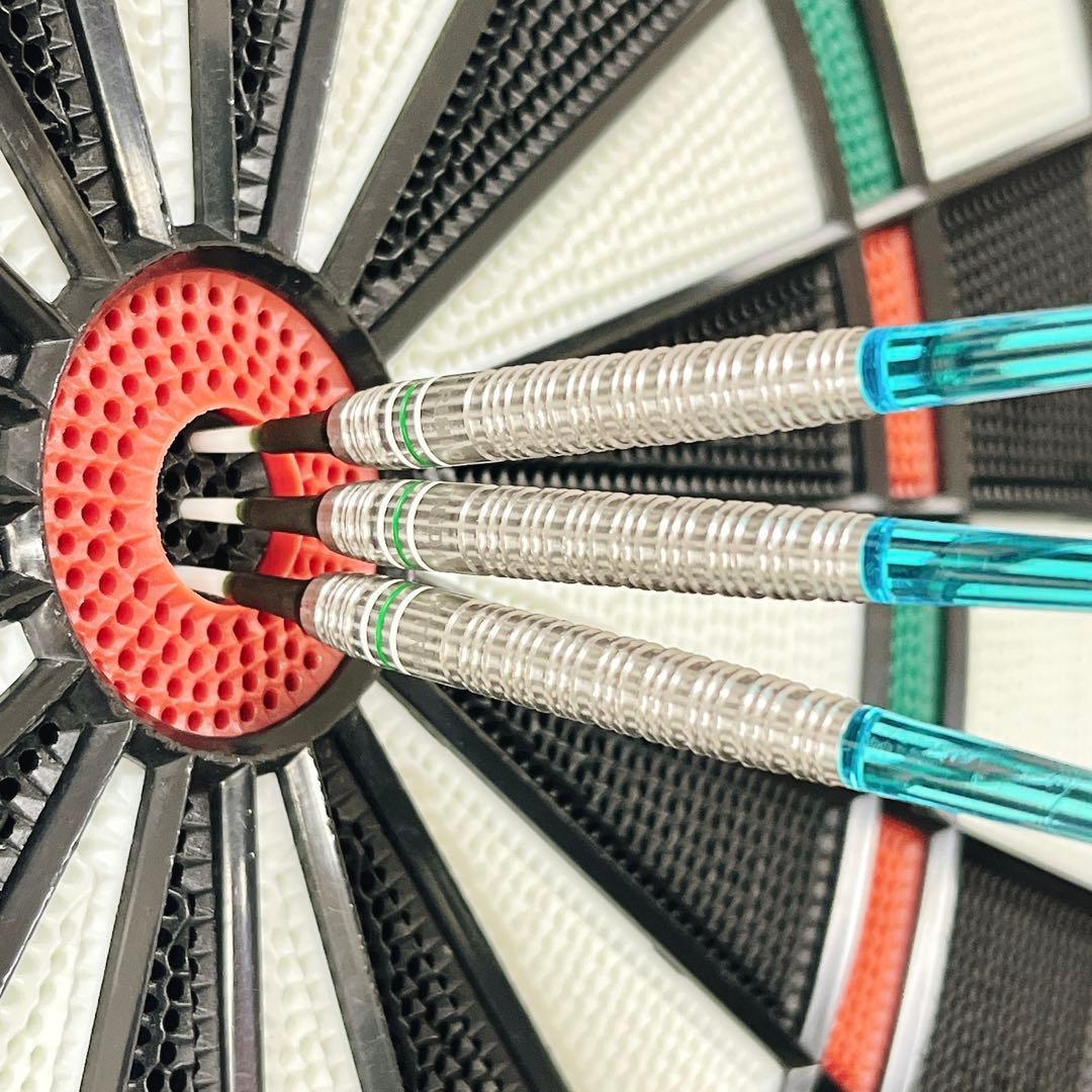 【重量級】ダーツバレル トリニダード マルガリート 武田樹モデル