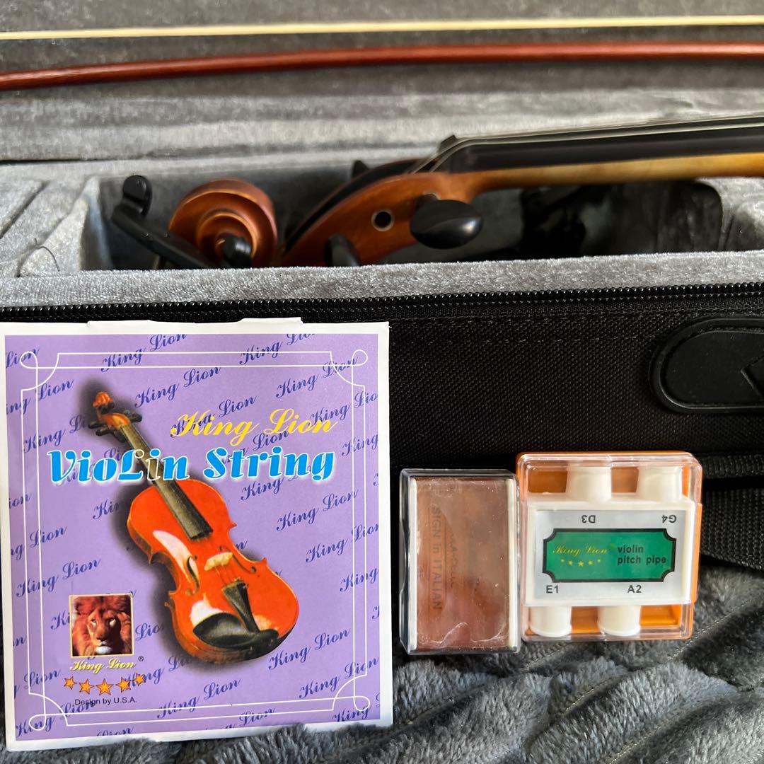 【美品｜ケース付】HALLSTATT ハルシュタット V-12