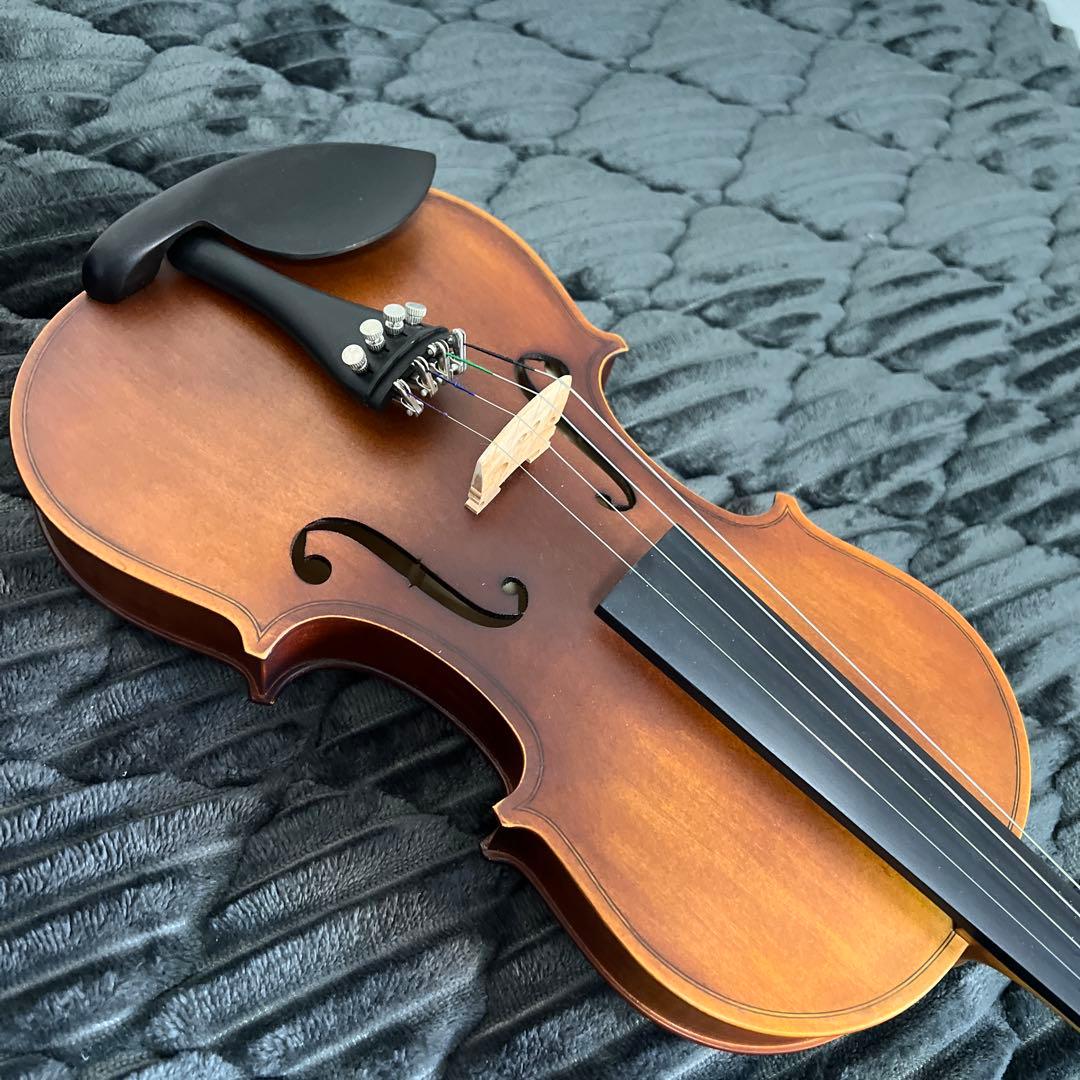 【美品｜ケース付】HALLSTATT ハルシュタット V-12