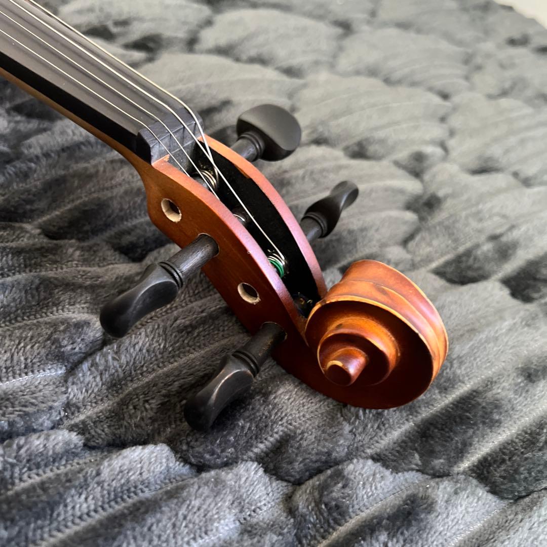 【美品｜ケース付】HALLSTATT ハルシュタット V-12