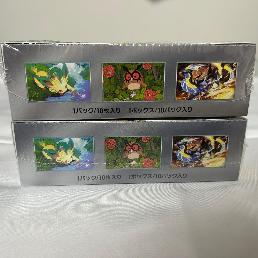 ポケモンカード　テラスタルフェスex　2BOX シュリンク付き