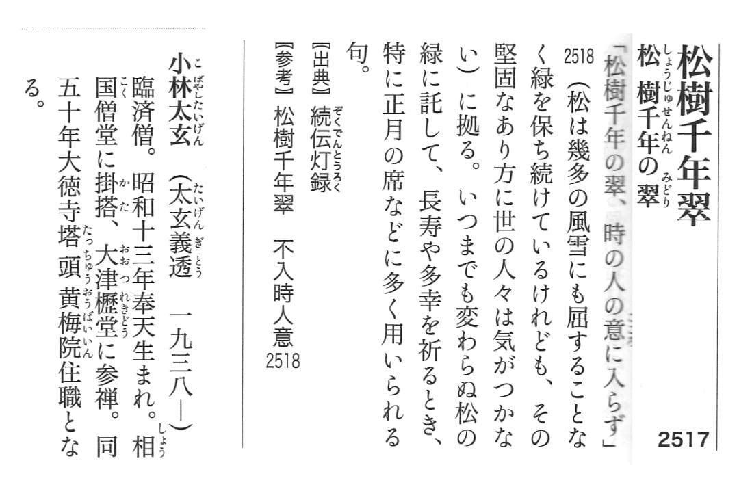 大徳寺塔頭黄梅院院主 小林太玄自筆一行「松寿千年翠」掛軸 - メルカリ