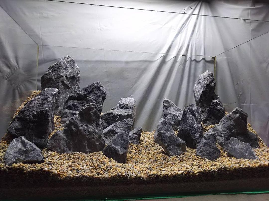 水槽、水槽台、龍王石、流木セット