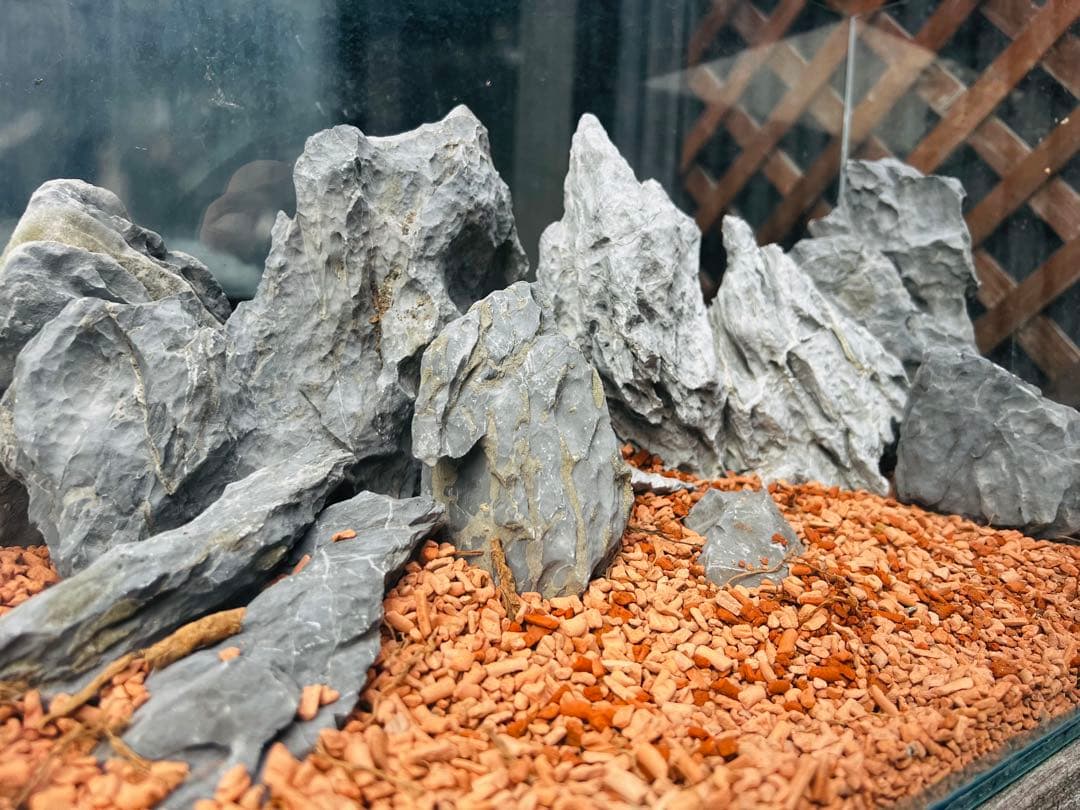 ADA 龍王石　10個セット 12.5kg