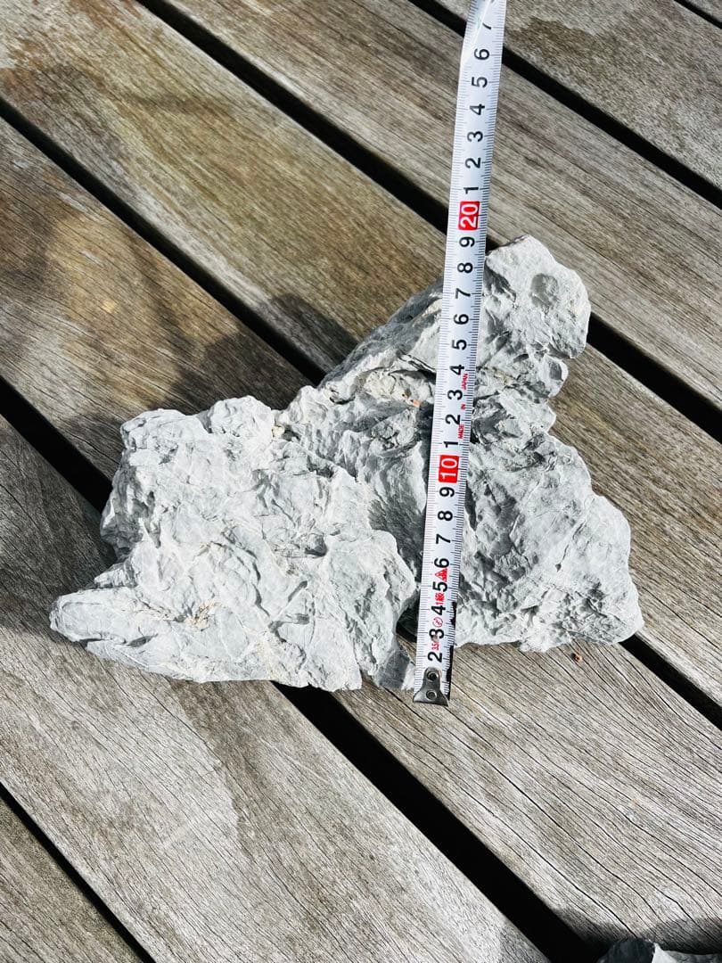 ADA 龍王石　10個セット 12.5kg