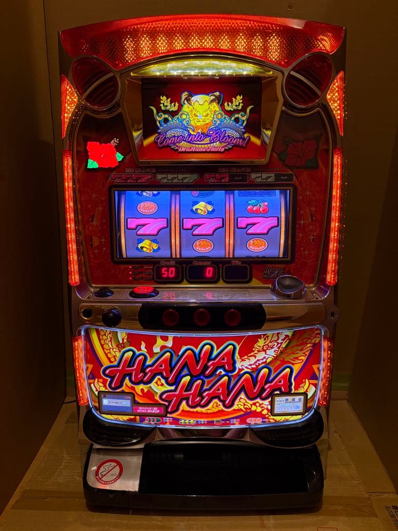 引き取り限定 パチスロ パイオニア 5号機 ドラゴンハナハナ 不要機付 パイオニア ドラゴンハナハナ～閃光～-30 中古パチスロ実機 [4ch対応