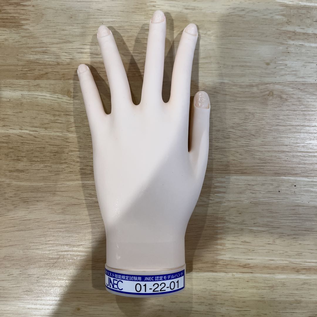 【MOF】JNEC認定 モデルハンド ネイルシート•チップ付き