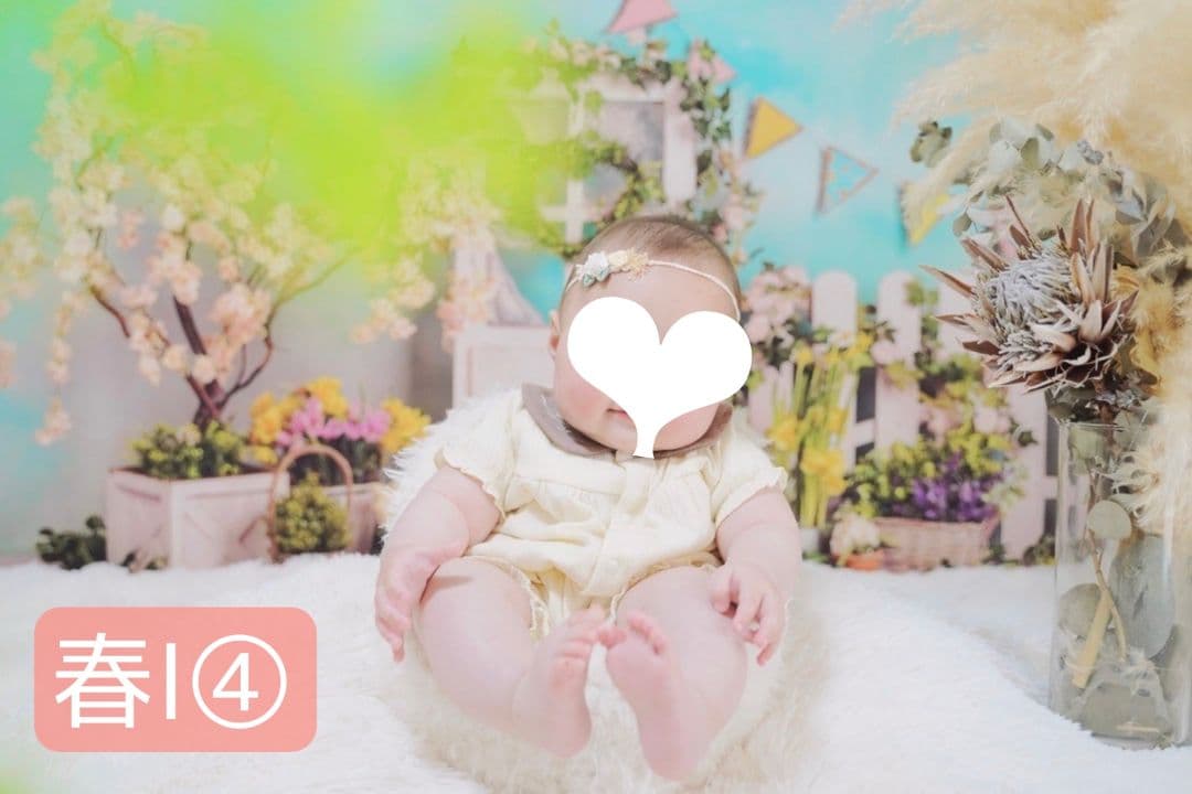 背景布【ハートO】サンプル ペット撮影用フォトブース バレンタイン