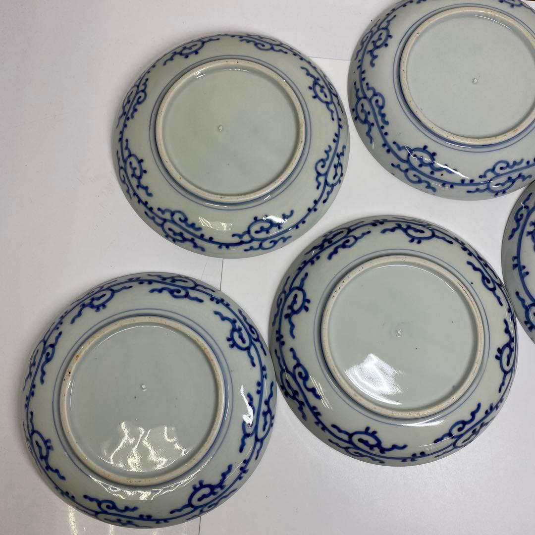 古伊万里 染付 みじんこ七寸皿 5枚 直径21.5㎝ タカチ 東さ