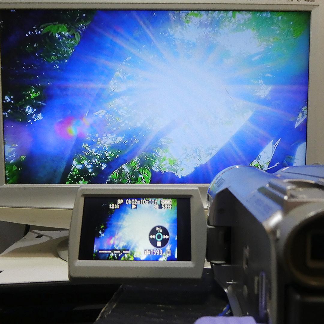 動作良好 パナソニックNV-GS300 MiniDVビデオ　デジタルダビングに