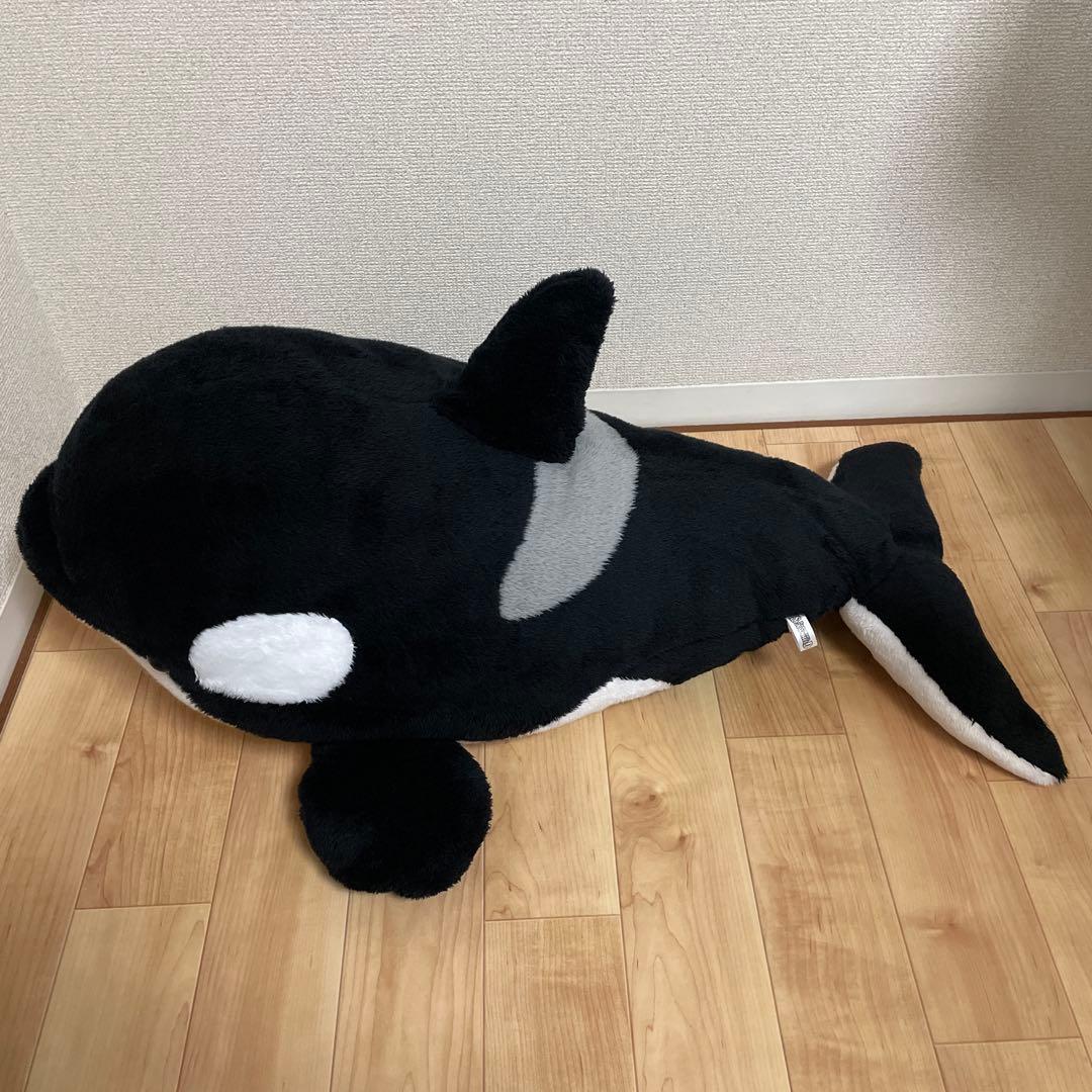 シャチ　ぬいぐるみくじ　1等