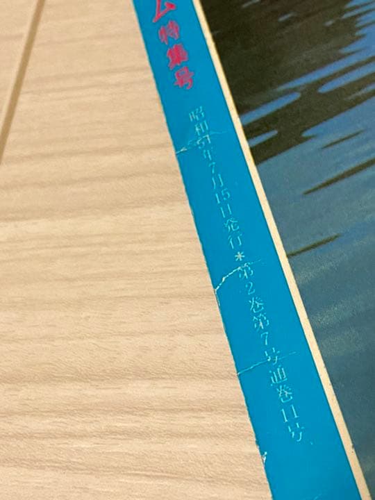 アグネス ラム 特集号　映画ファン　7月臨時増刊号　【希少】