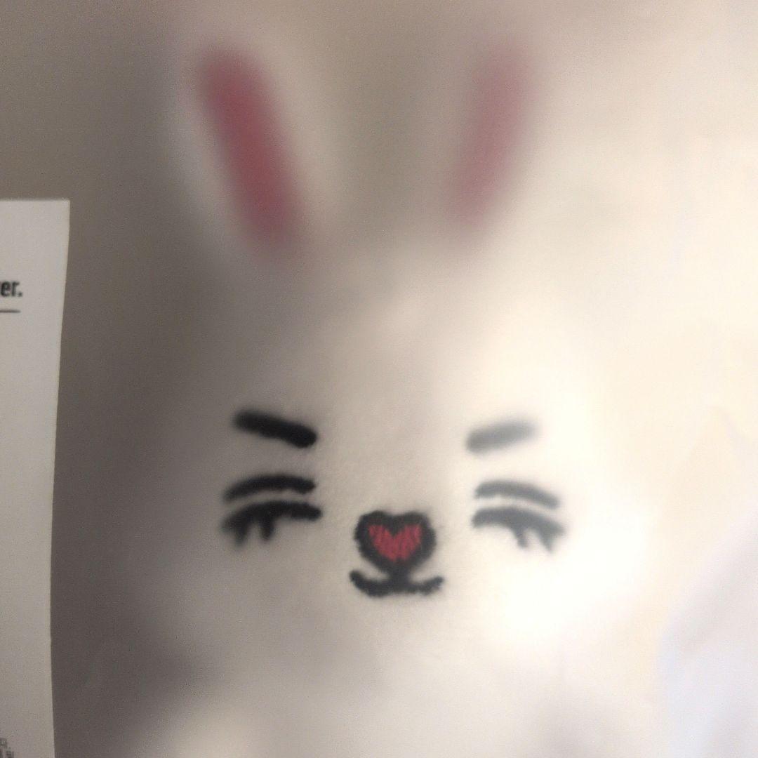 SEVENTEEN MINITEEN マグネットキーリング エスクプス セブチ - メルカリ