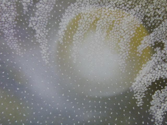 久保義浩、【うつし世】、希少画集画より、状態良好、新品高級額装付