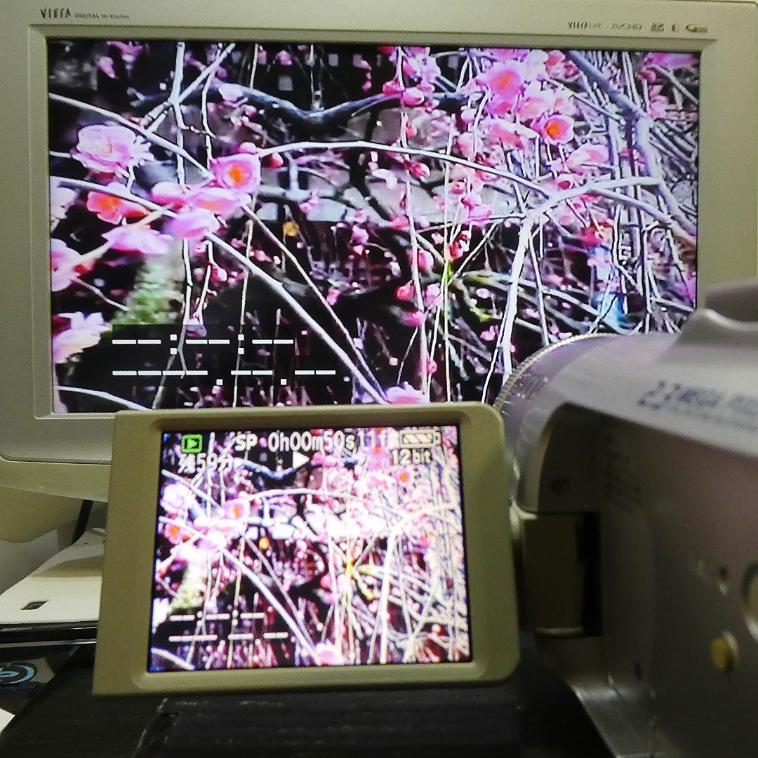 美品・動作良好 パナソニックNV-GS150 MiniDVビデオ DVD化に最適
