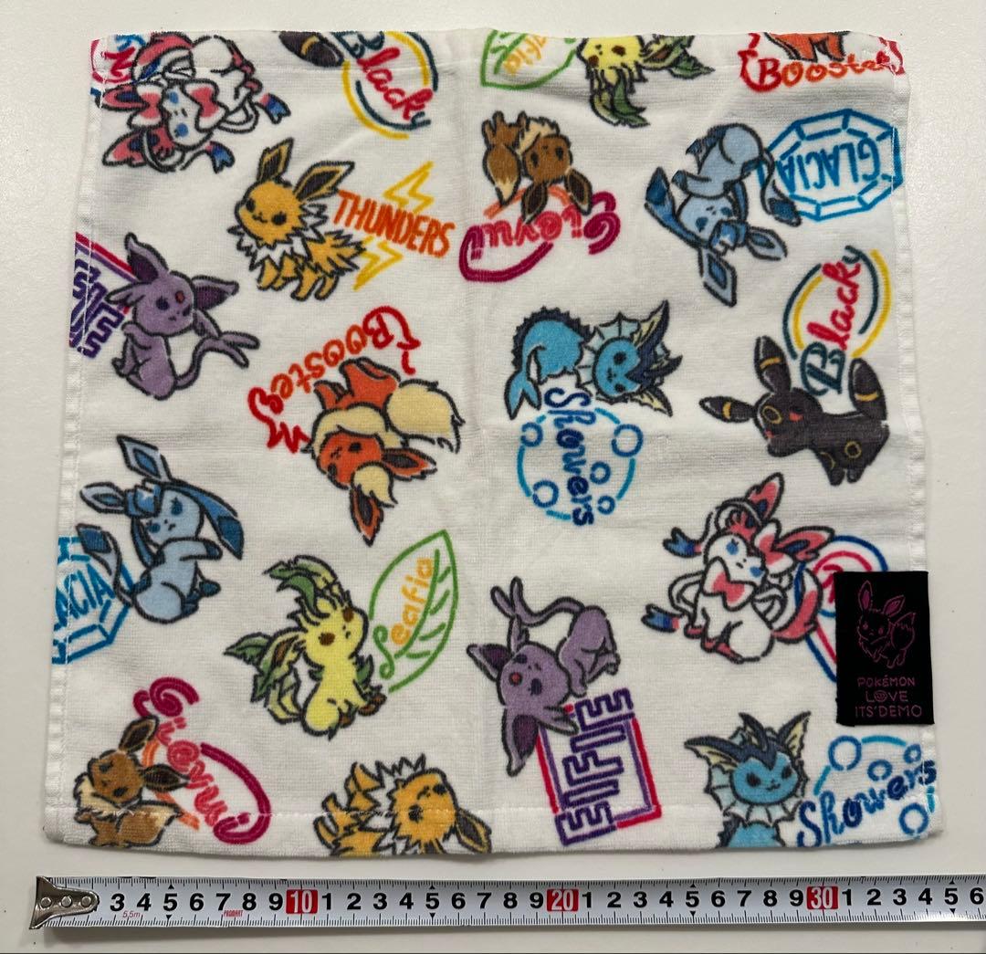 イッツデモ　ポケモン　フェスタオル　ハンドタオル　2点セット