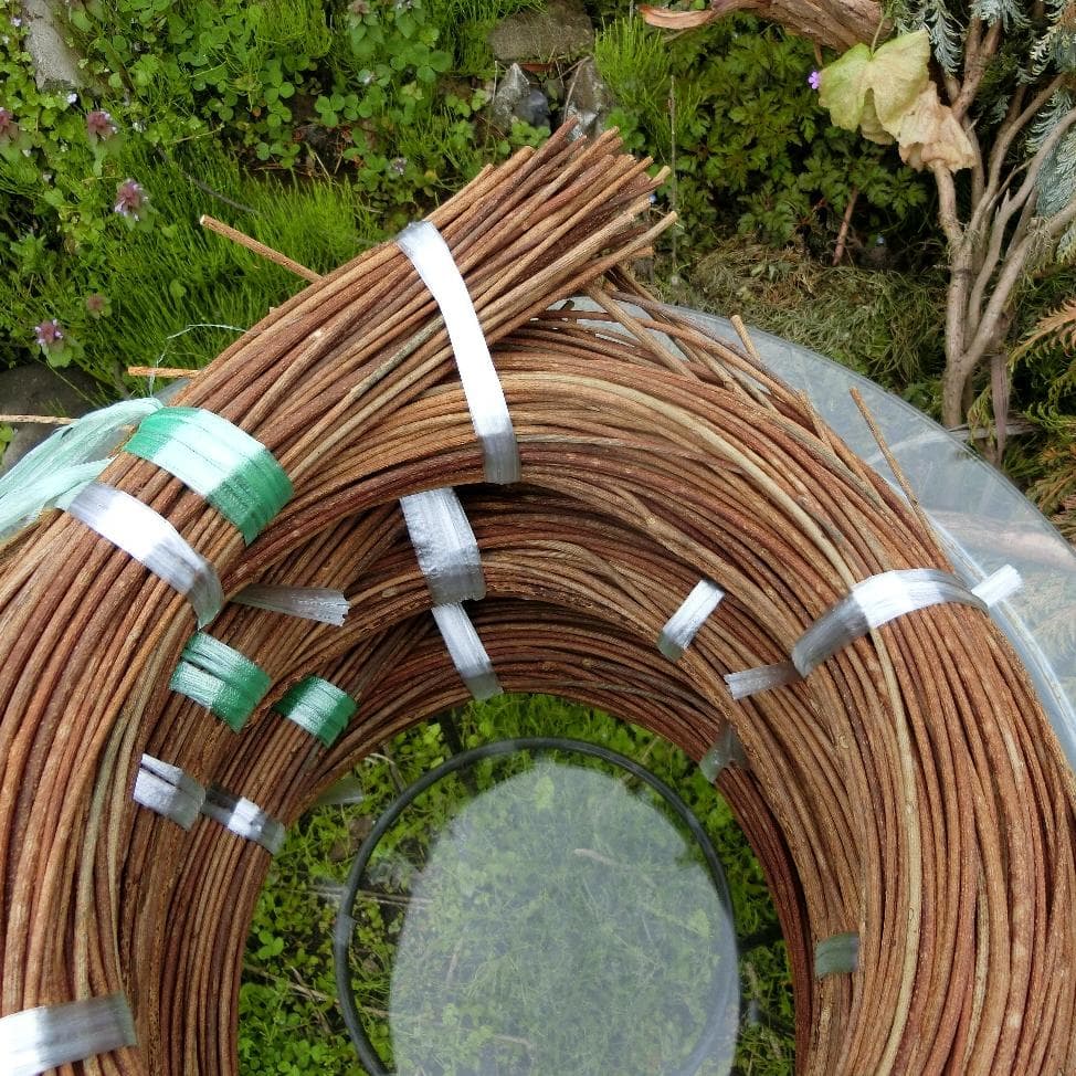 エミリー　青森岩木山　あけび蔓　150cm～ 3kg