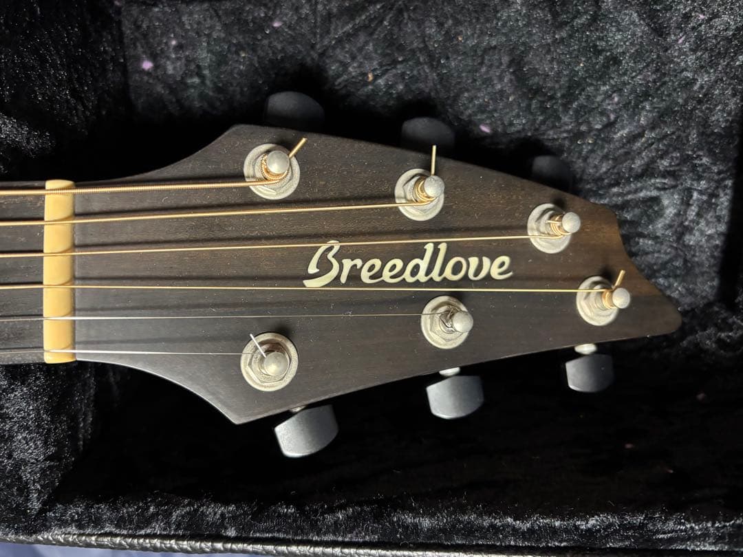 本日明日中金額 Breedlove Premier Concert CE USA | Shop at Mercari