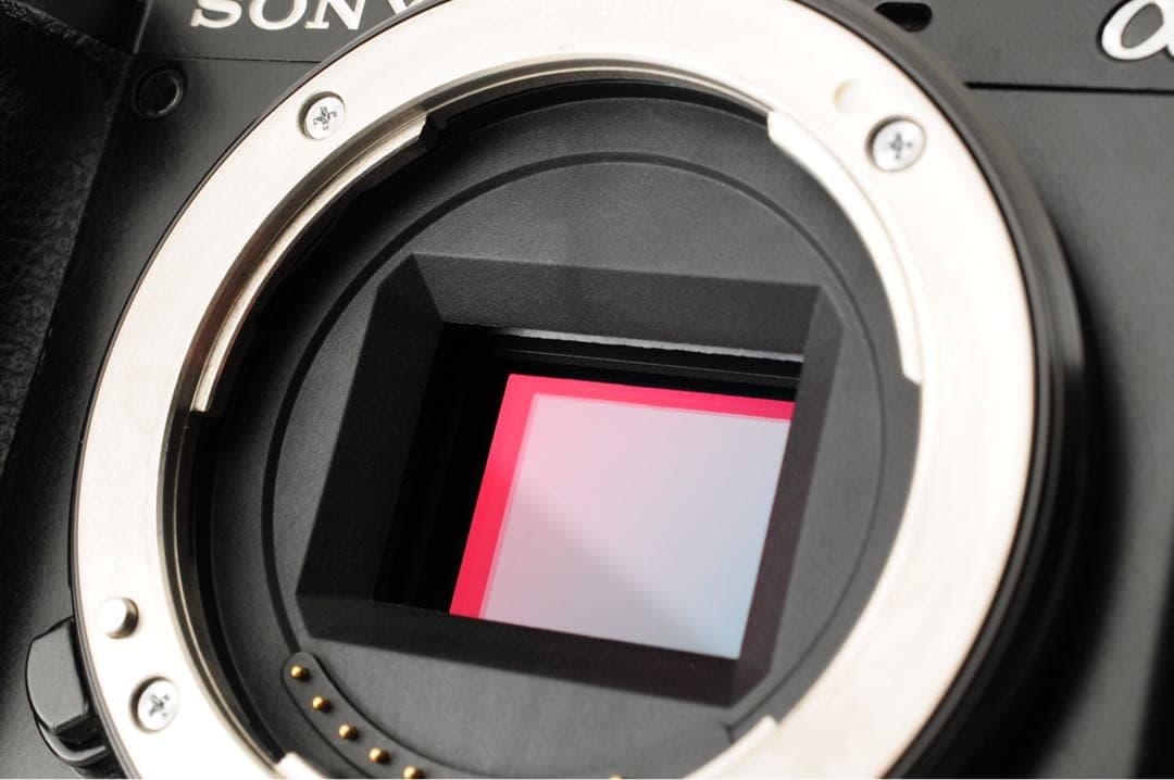 美品 ◇シャッター数:8,536回◇ SONY α6100 16-50mm 美品 ◇シャッター