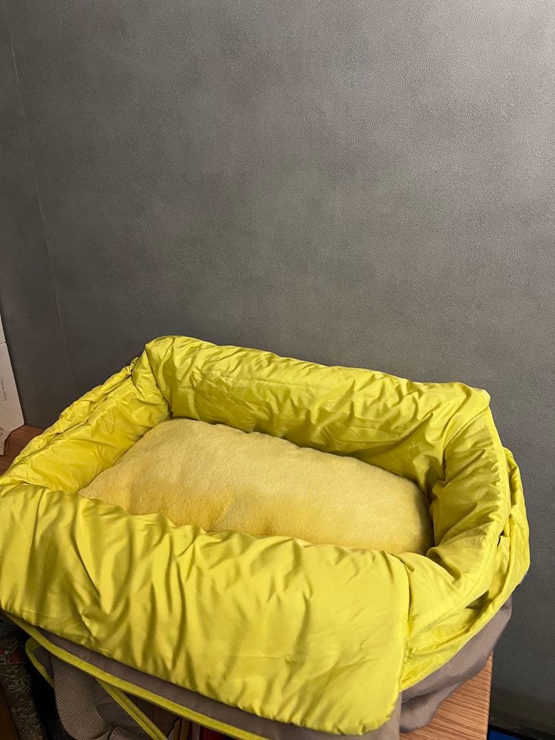 《 韓国 arrr 》 humming bag 犬用キャリーバッグ