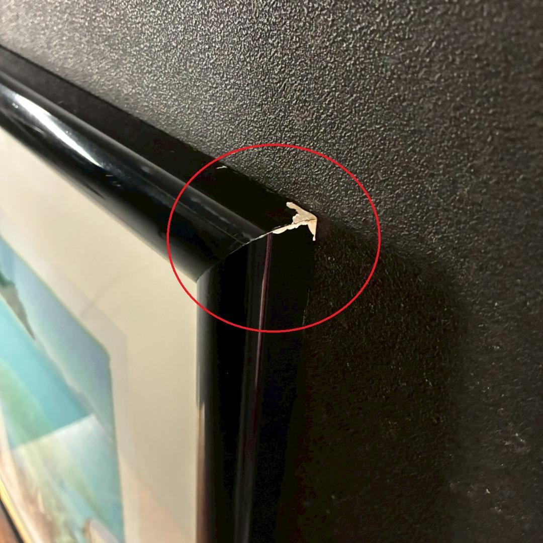 ジョアン・フック「サンゴ礁の熱帯魚」リトグラフ2点 大作 直筆サイン