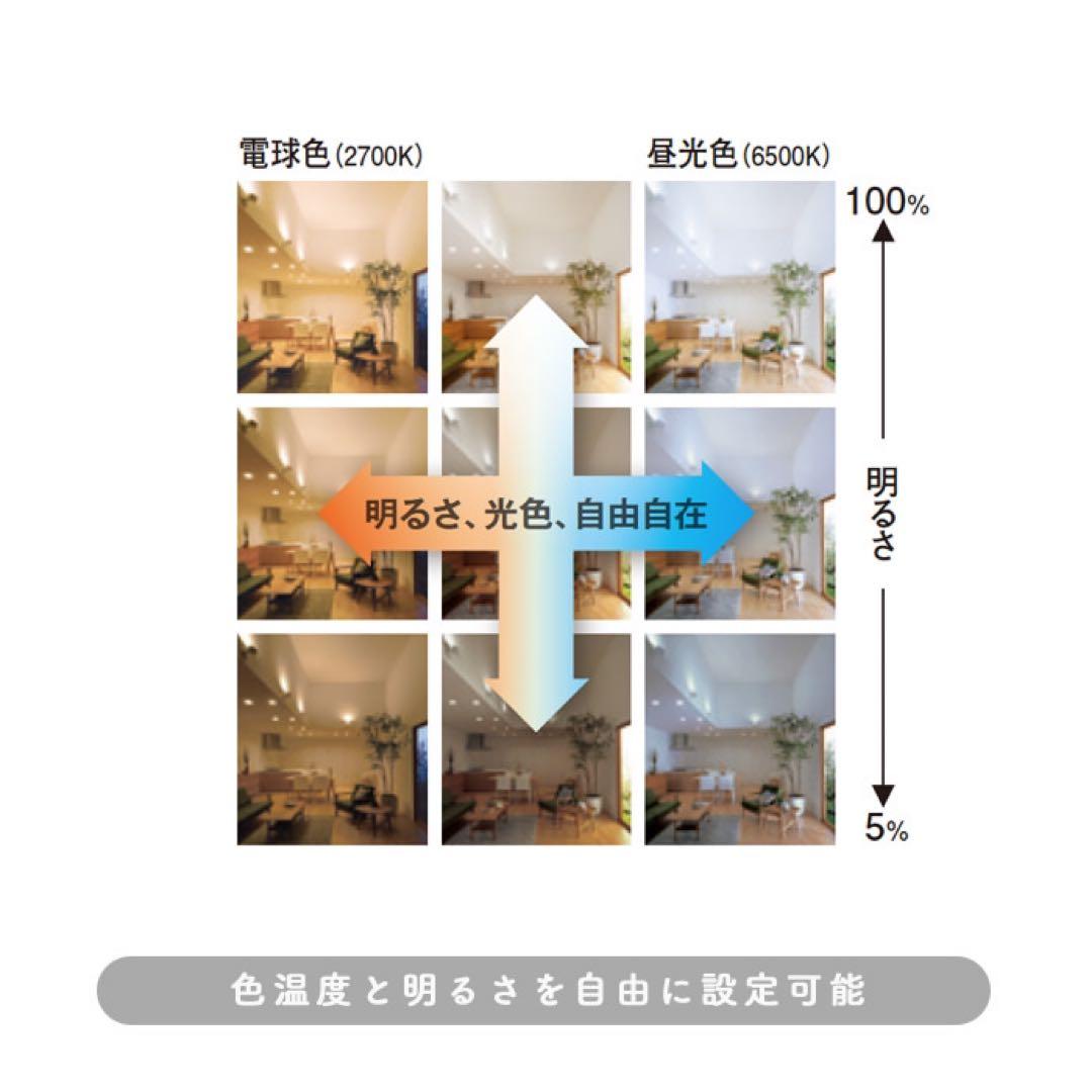 【専用】Drop ペンダントライト ダクトレール用・調光調色 2個セット