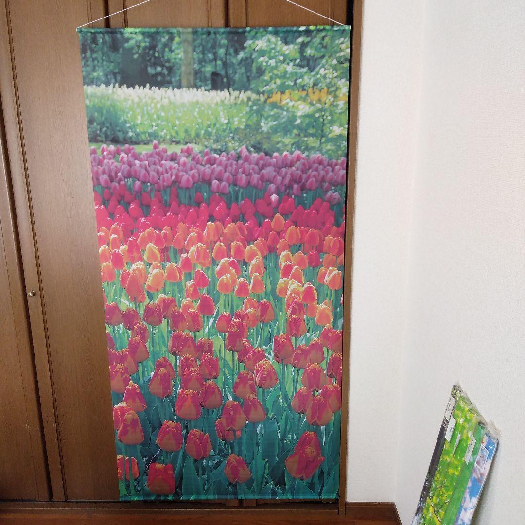 ディスプレイ用背景シート 6本セット 防炎製品 約縦179cm横90cm - メルカリ