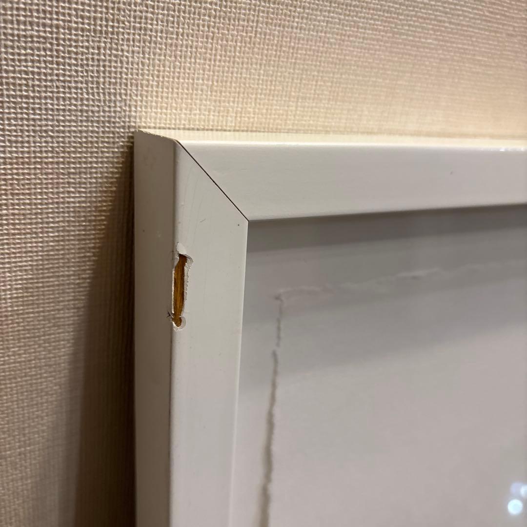 ♪shane bowden シェーンボーデン モンローリップ縦66cm横85cm