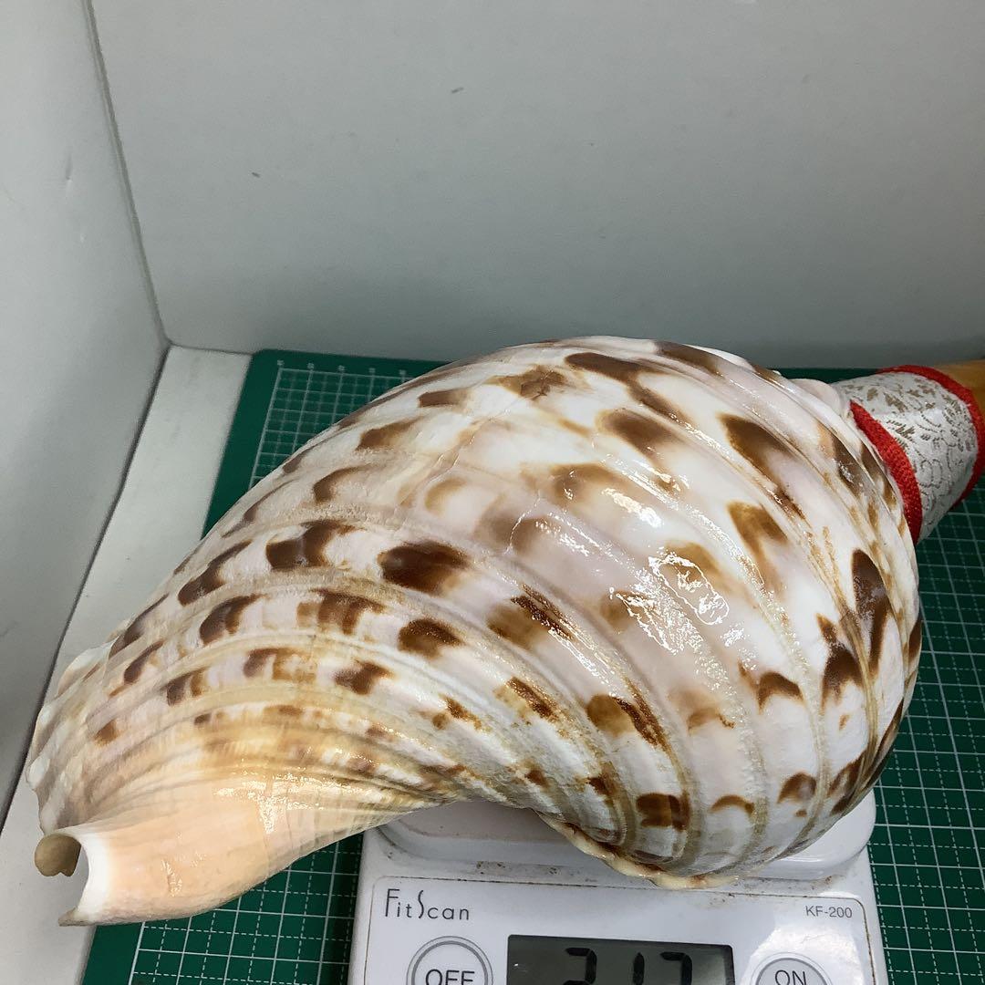 ヤフメリ③・法螺貝・山伏・修験者・金峯山・羽黒山・縁起物・魔除