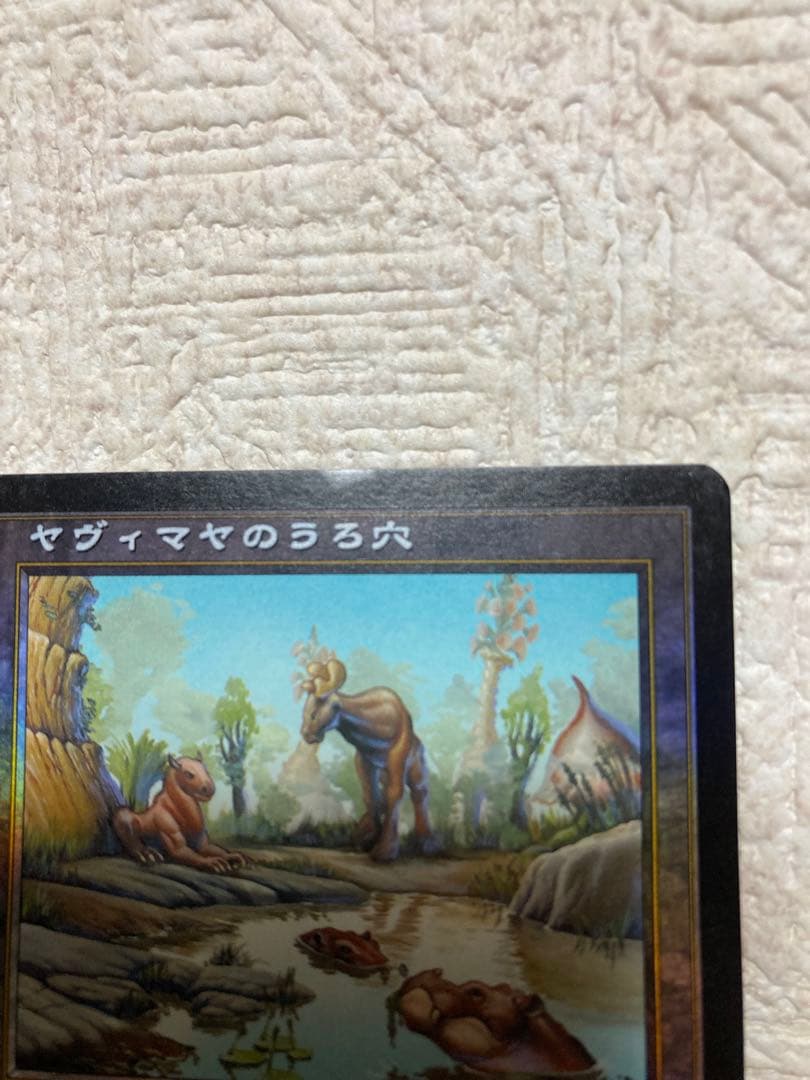 ヤヴィマヤのうろ穴 日本語 Foilヤヴィマヤのうろ穴 日本語 Foil MTG