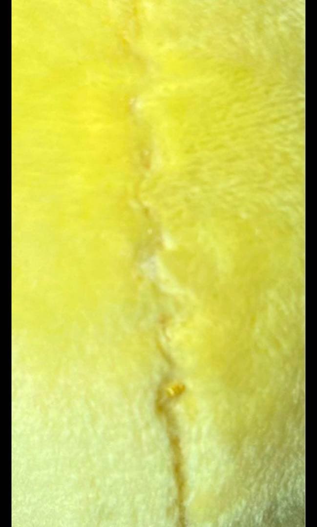 スキズ　straykids フィリックス　グッズ　まとめ売り　トレカ　貴重