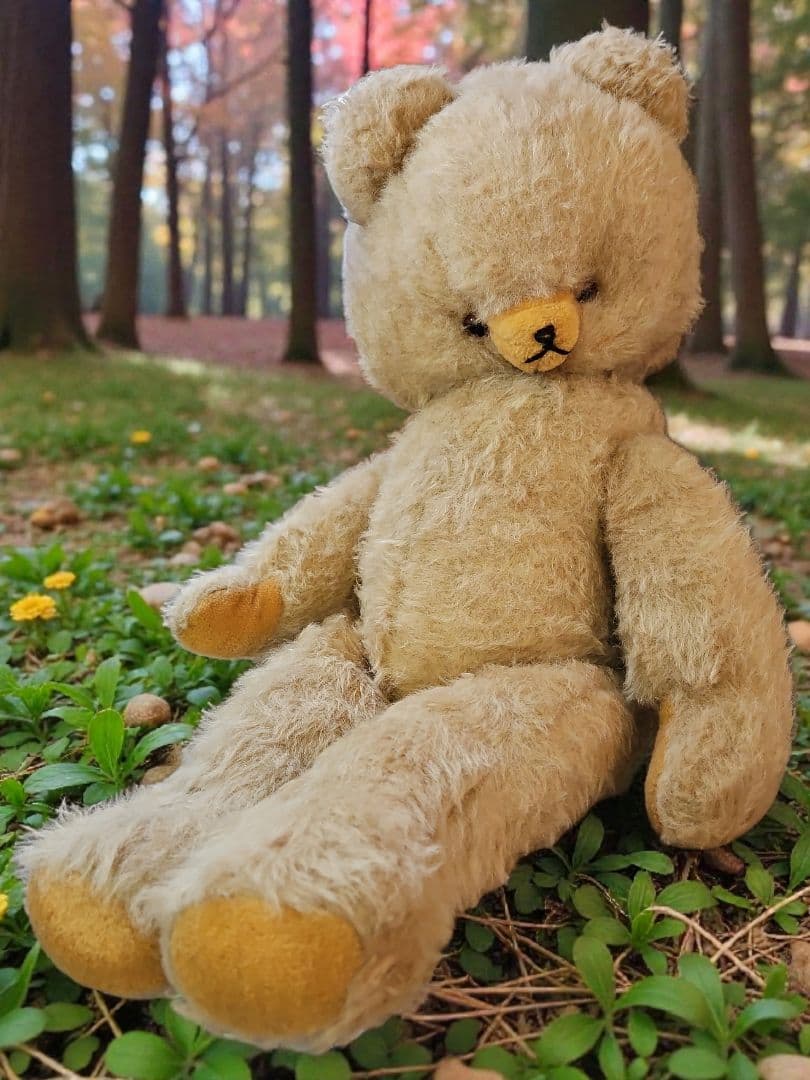 レア☆ DDRベア ベビーフェイスが可愛い大きな子 ʕ•ᴥ•ʔ レア☆ DDRベア ベビーフェイスが可愛い大きな子 ʕ•ᴥ•ʔ - ぬいぐるみ最新