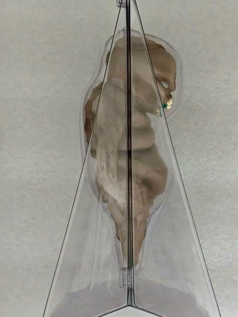 生産終了 プラッターハウス ハンギングデッド ソフビフィギュア　その他まとめ買い