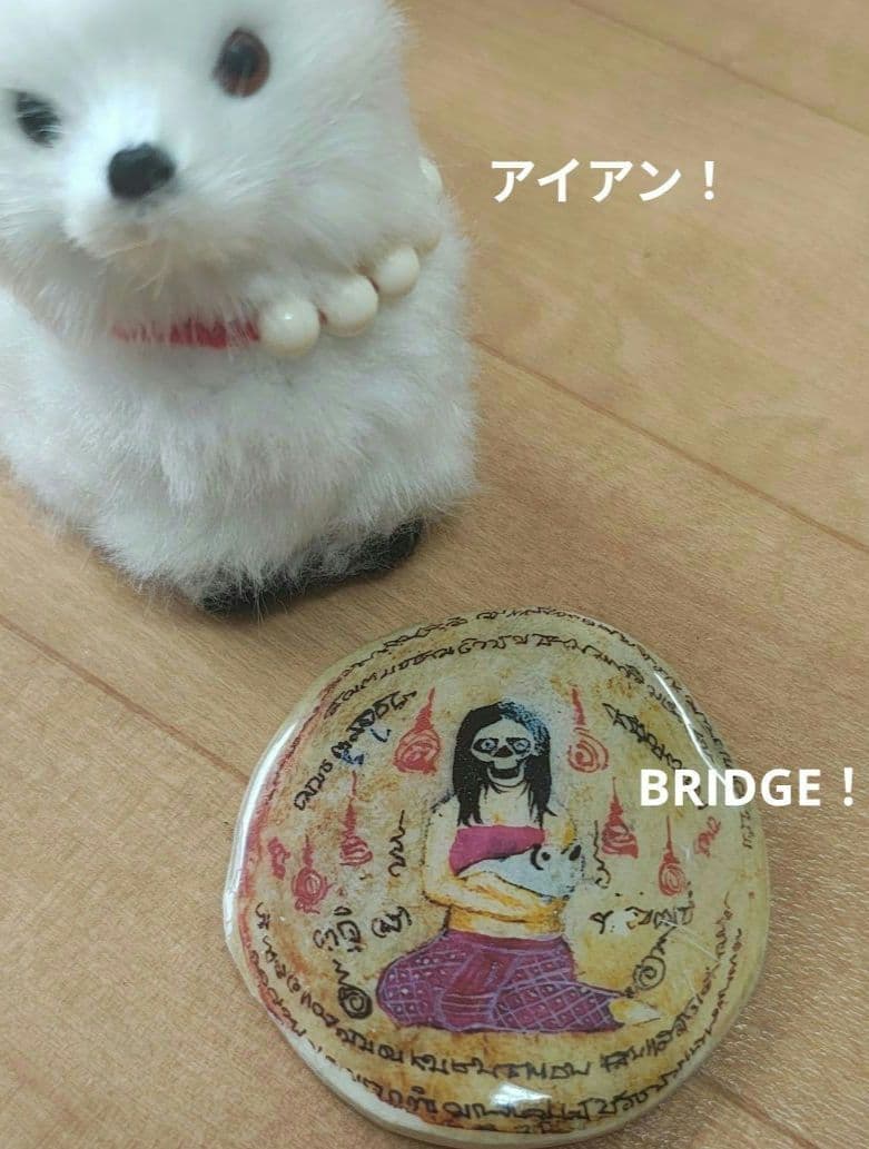 【MADAM】タイのお守りプラクルアン！マザームーン！ギャンブル運が極超アップ！ MADAM】タイのお守りプラクルアン！マザームーン！ギャンブル運が極超