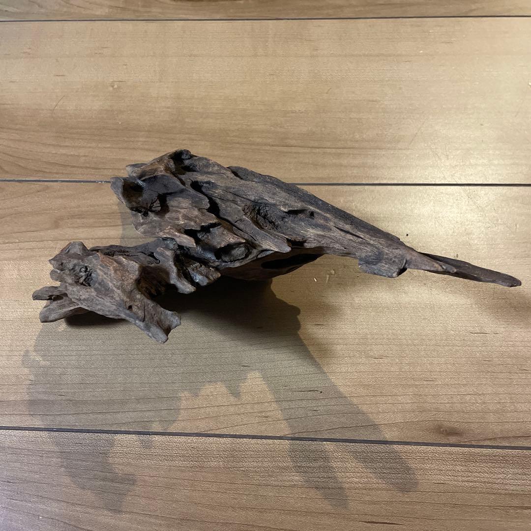 天然】ダークブラウン流木 自然な形状 - メルカリ