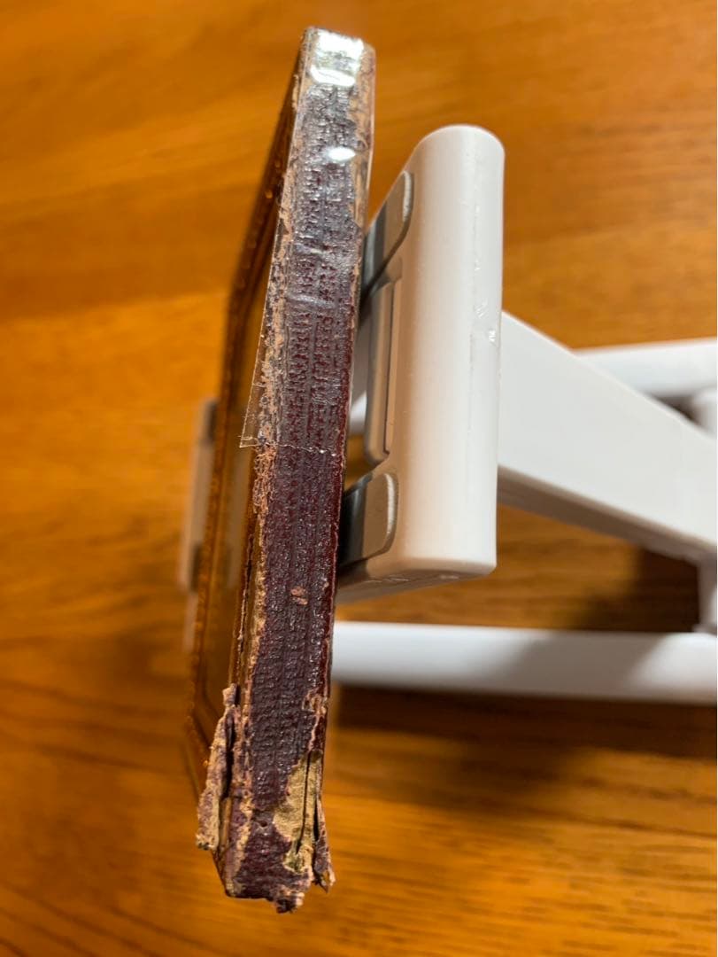 アンブロタイプ アンティークフォト ロット（2）夫と妻 面白い手書きの